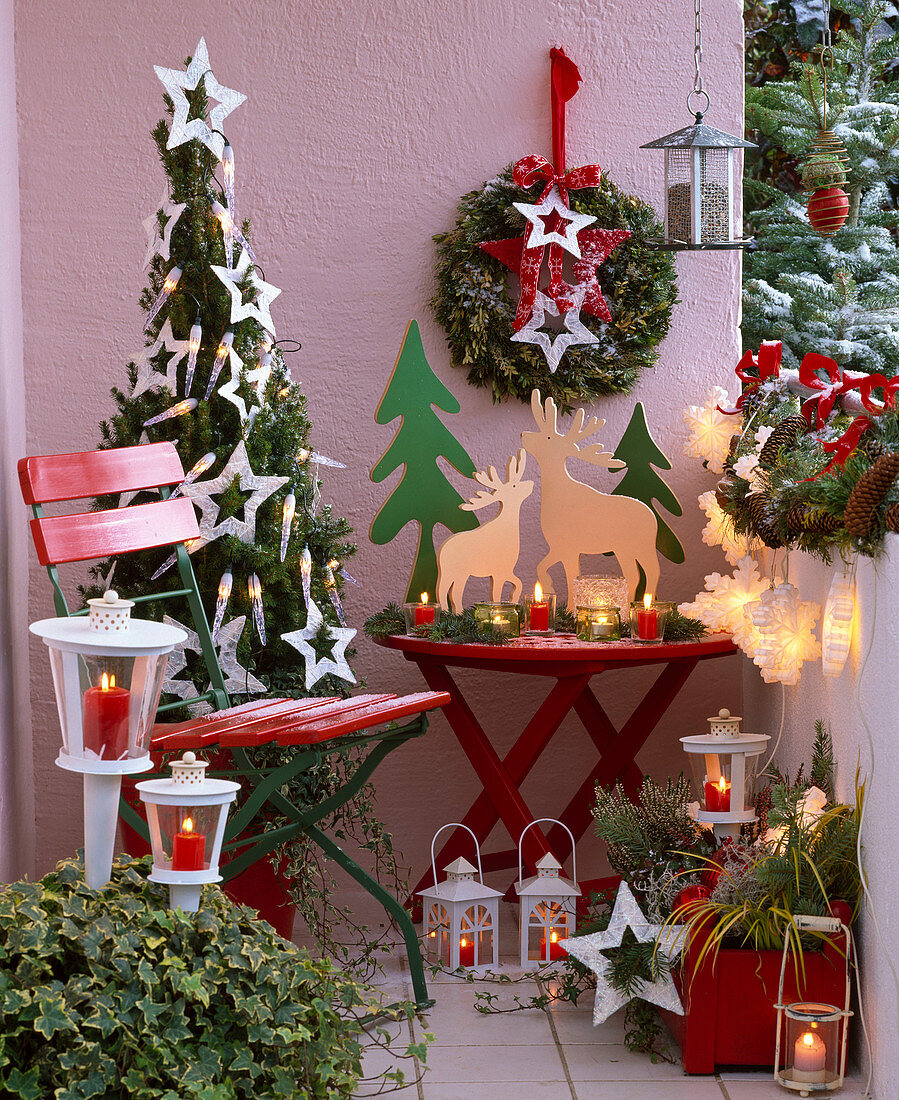 Weihnachtlicher Balkon mit Picea 'Conica' (Zuckerhutfichte)