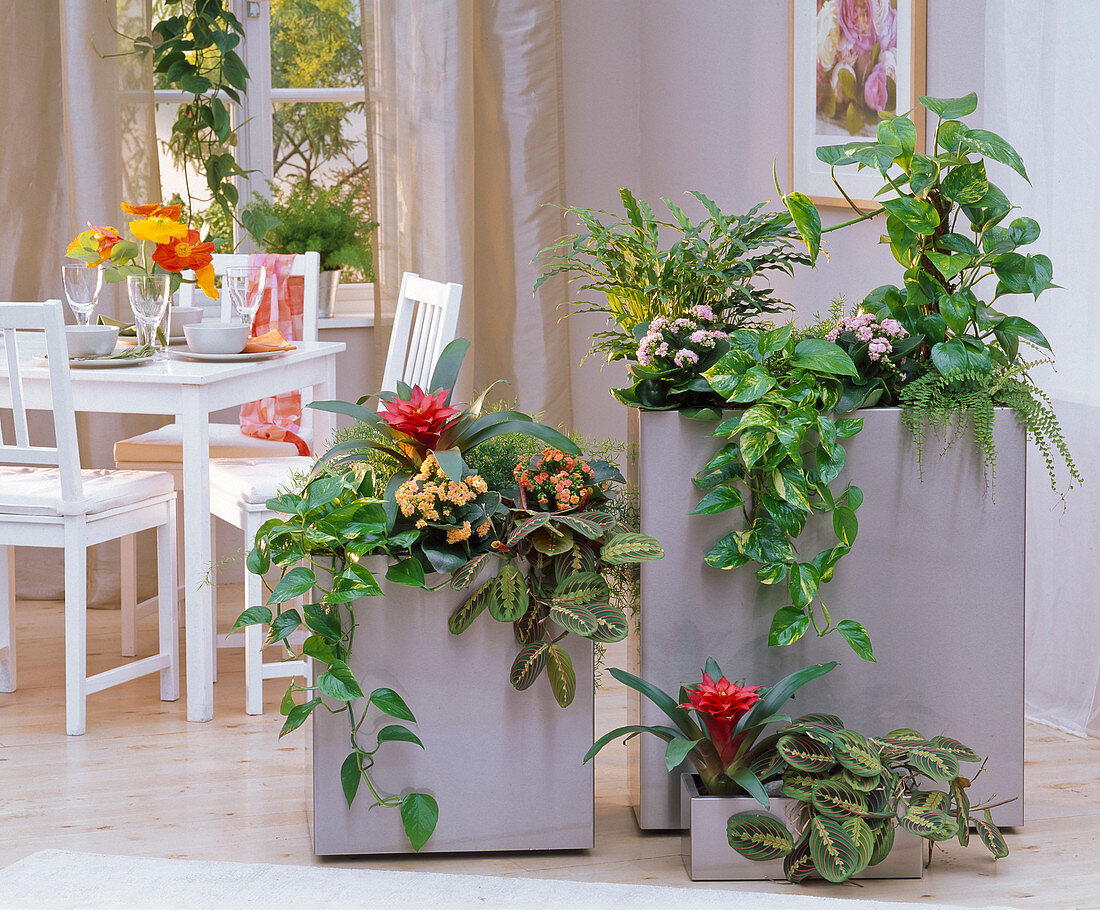 Large planters as a room divider