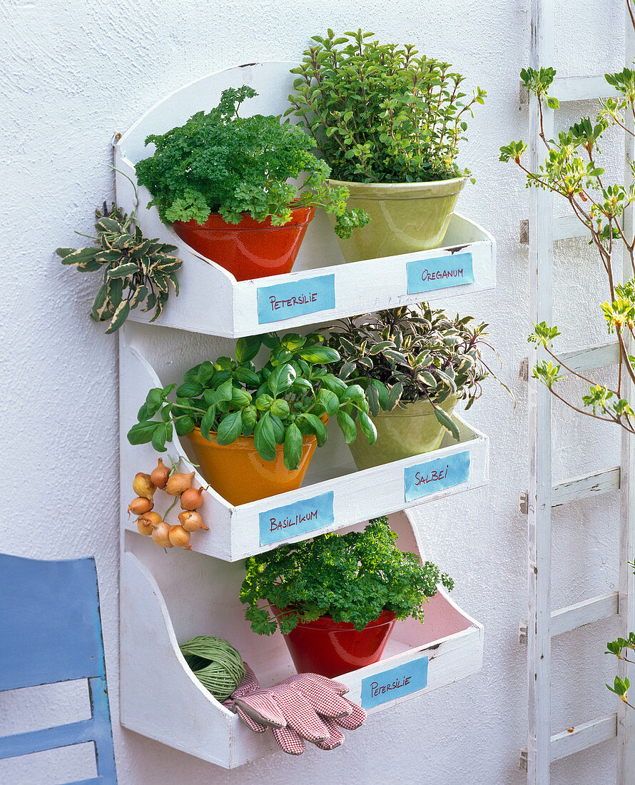 Shelf with herb pots