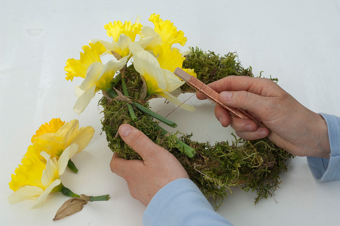 Daffodils wreath