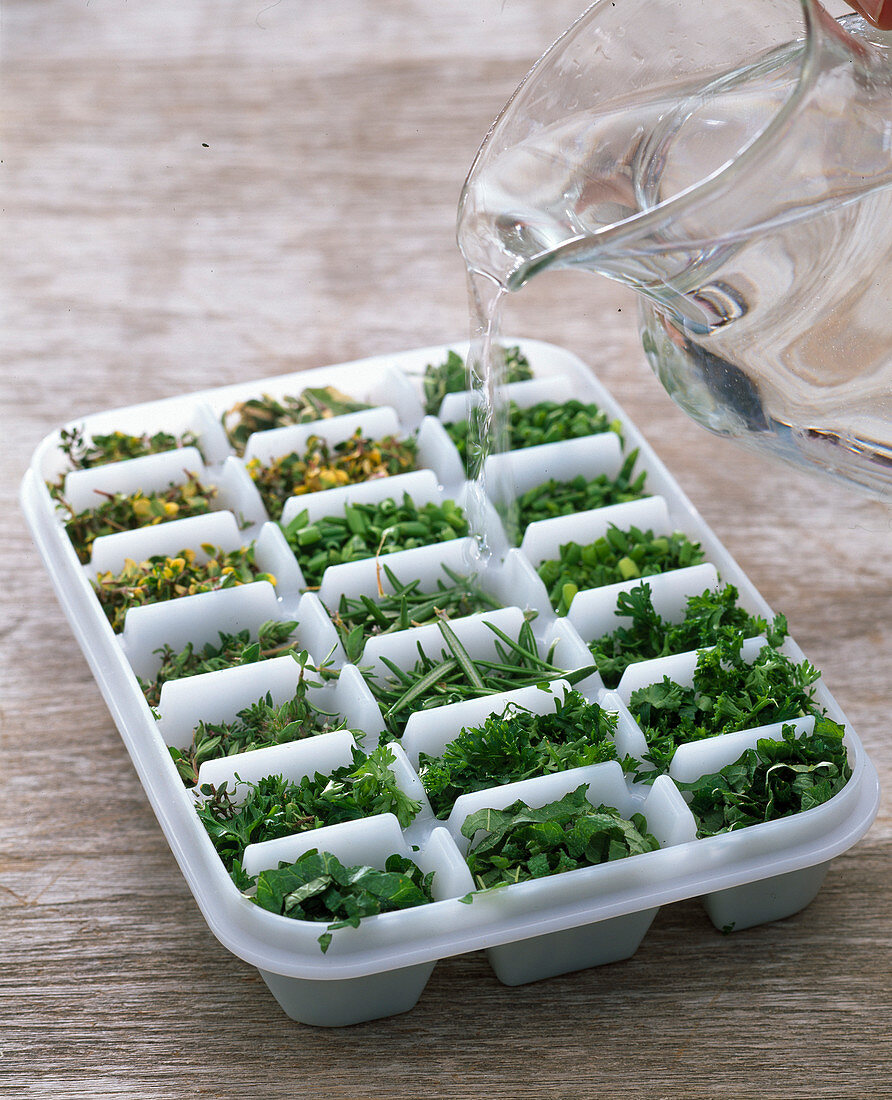 Herbs as ice cubes