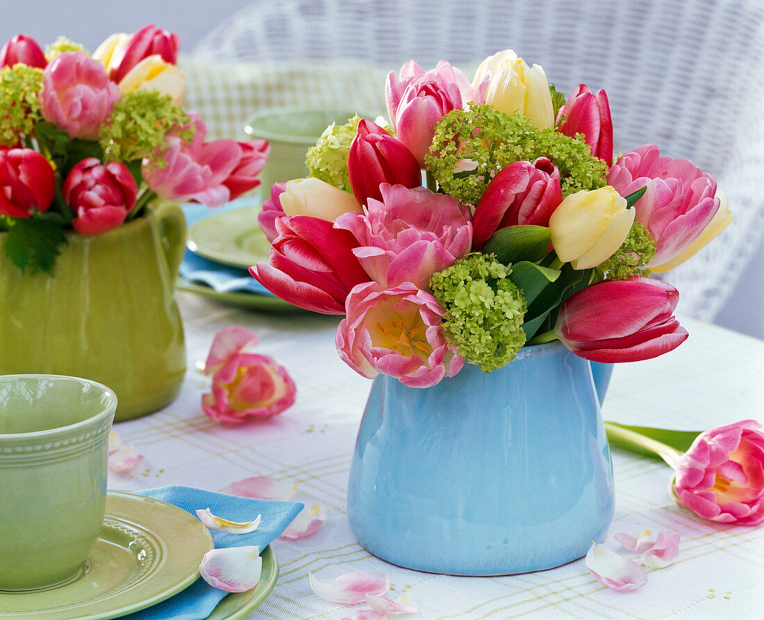 Strauß aus Tulipa (Tulpen) und Viburnum (Schneeball) in blauem Krug