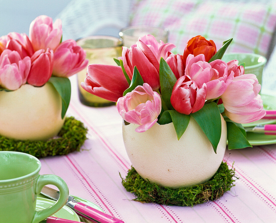 Small bouquet of tulipa (tulip) in ostrich egg as a vase
