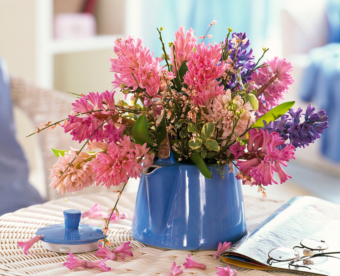 Strauß aus Hyacinthus (Hyazinthen), Cytisus (Ginster) und Pittosporum