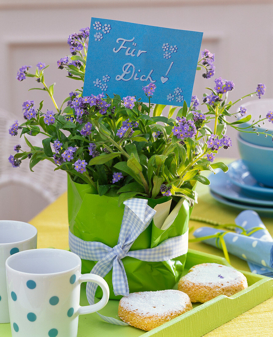 Myosotis (Vergißmeinnicht) als Geschenk mit Schild 'Für Dich!', Kuchen