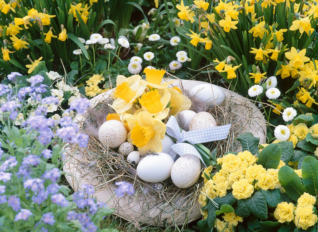 Straw hat as Easter basket with Easter eggs and bouquet from Narcissus