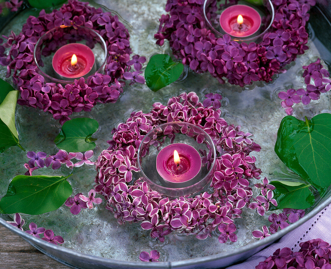 Small wreaths from Syringa around tealights floating in water