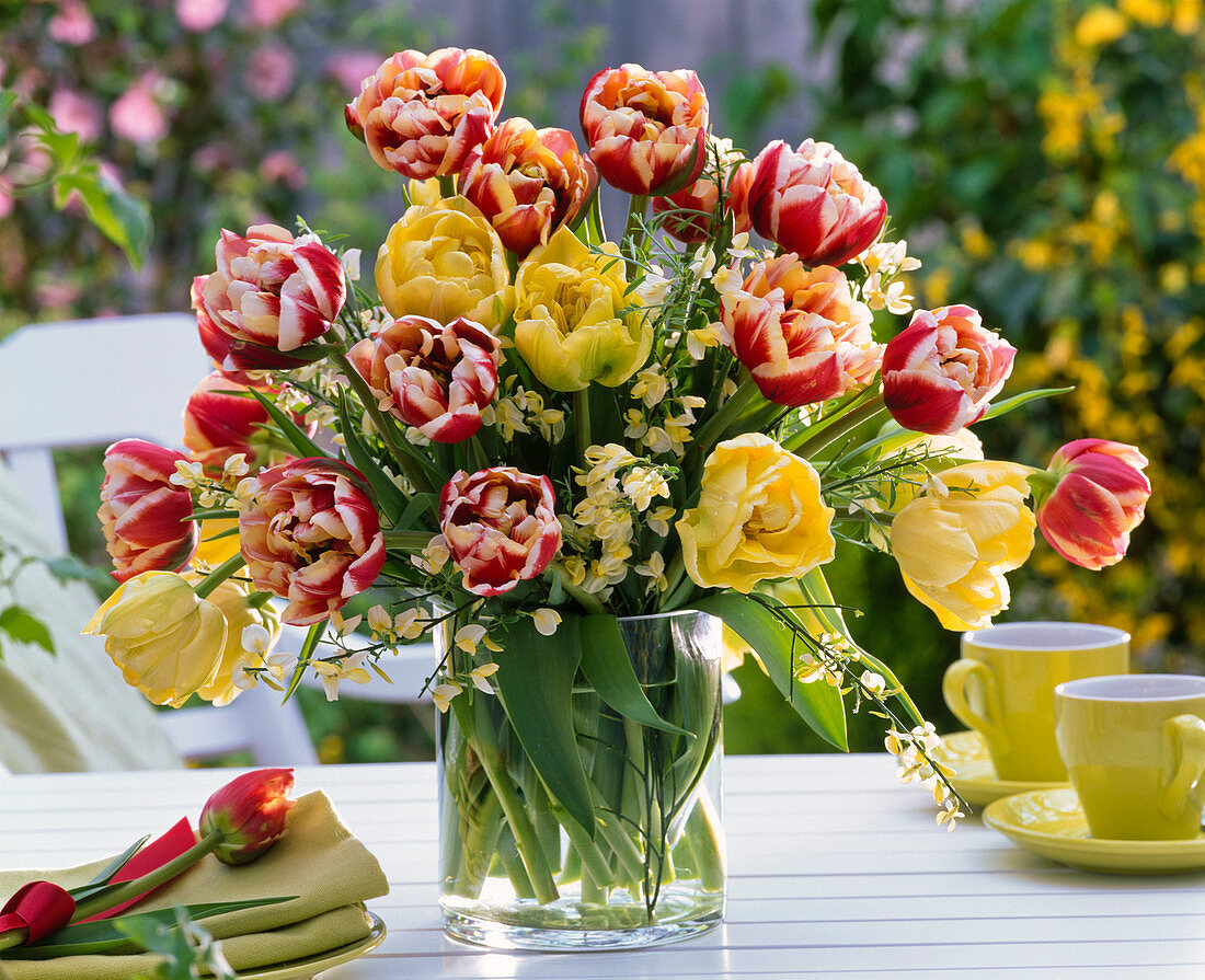 Bouquet of different Tulipa (tulip) and Cytisus (broom)