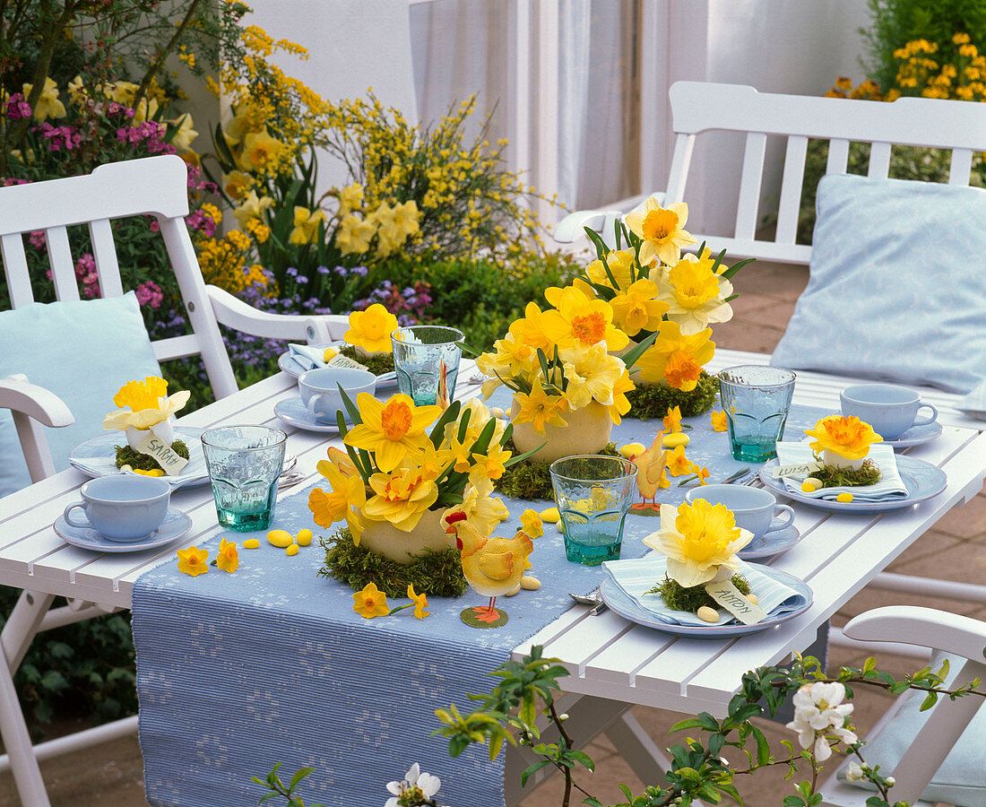 Blue-yellow easter table decoration with daffodil