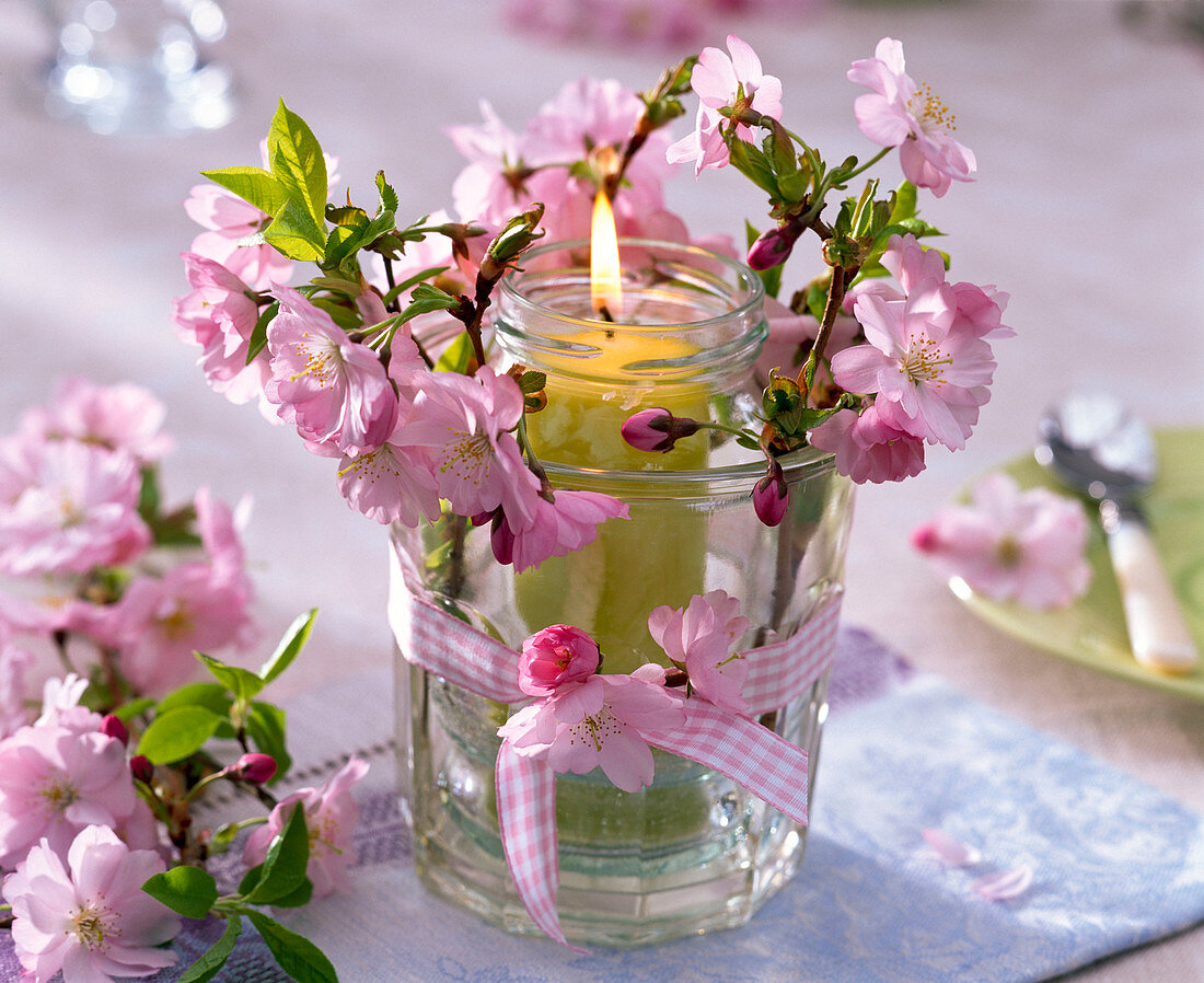 Windlicht aus zwei ineinandergestellten Gläsern mit Prunus (Zierkirsche)