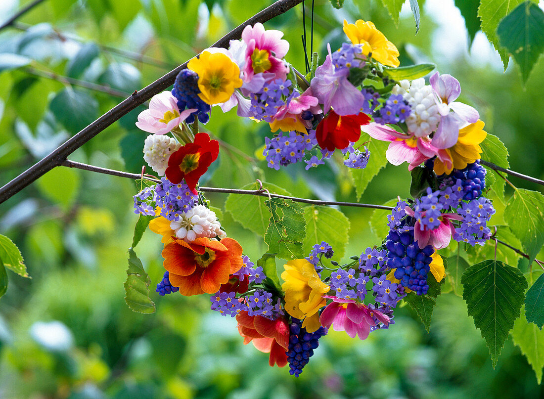 Heart shaped wreath with Primula, Myosotis