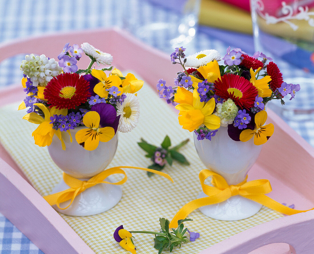 Kleine Sträuße aus Viola (Hornveilchen), Bellis (Tausendschön), Muscari