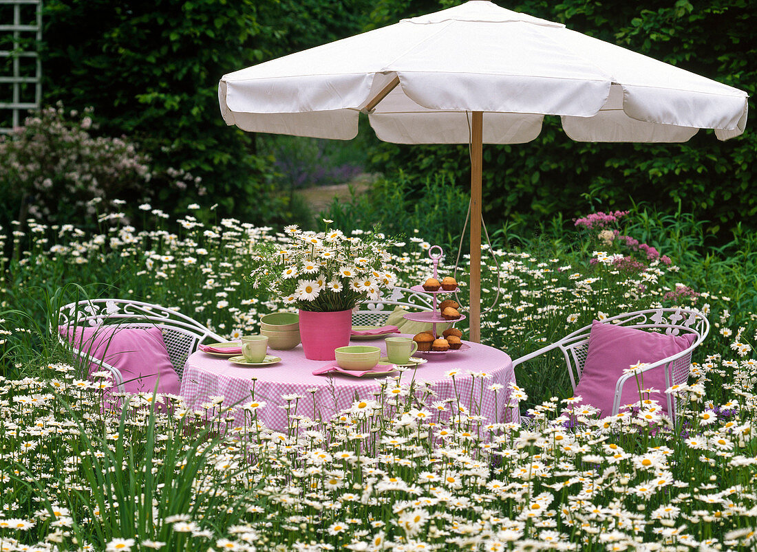 Seating area with pink pillows and tablecloth in daisies meadow