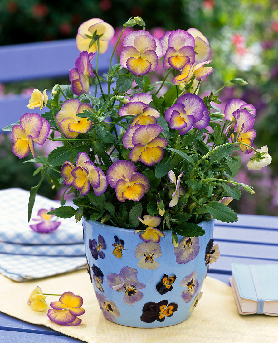 Light blue planter covered with dried flowers