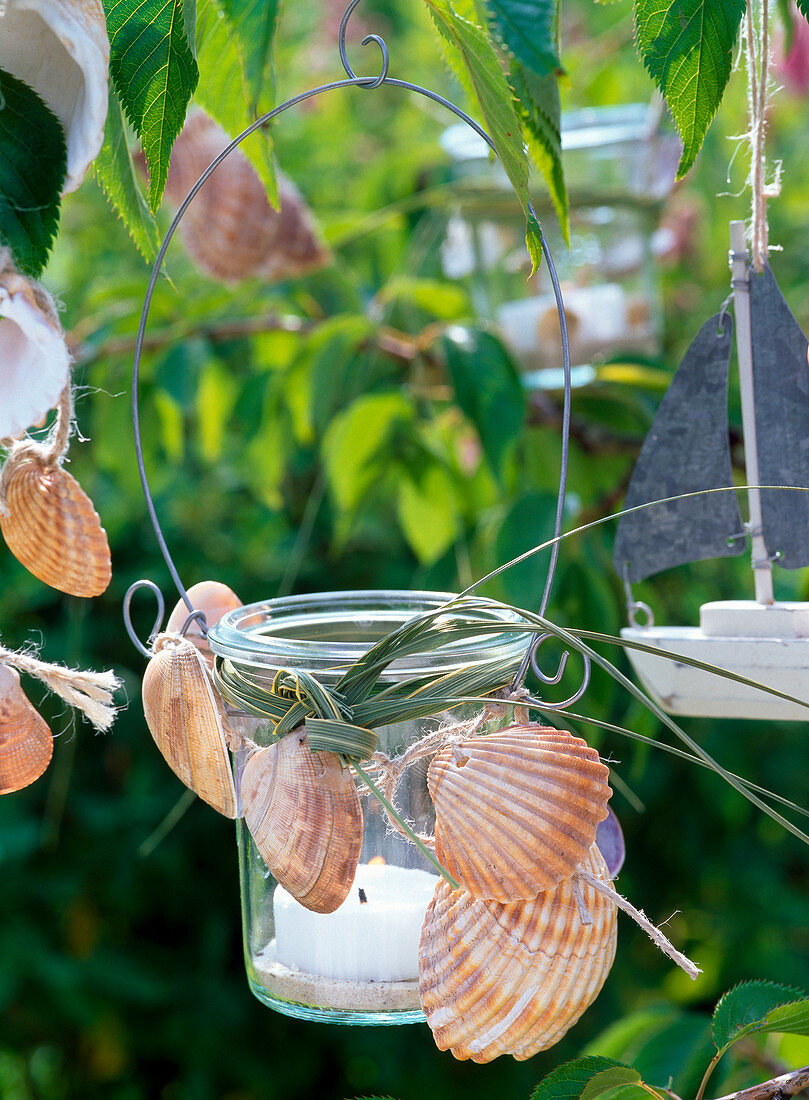 Lantern decorated with shells and grass hanging on tree