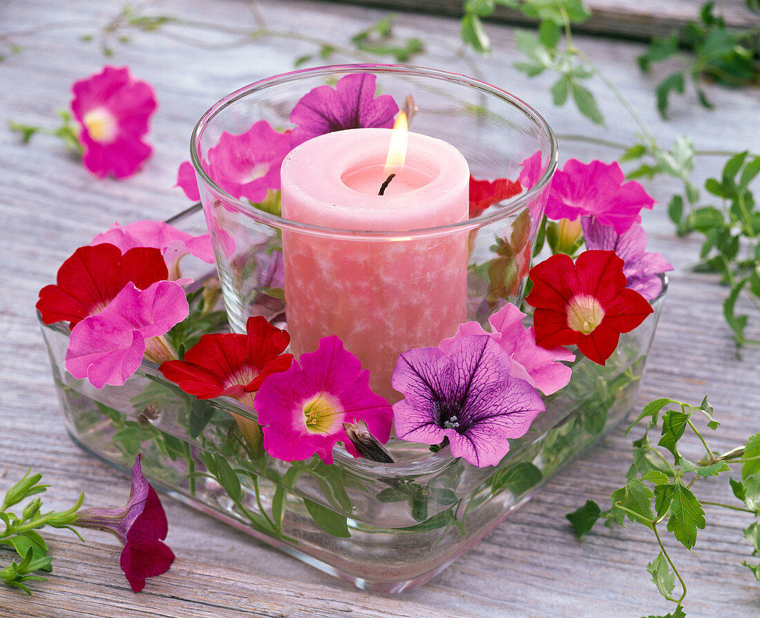 Candle in glass on coaster with petunia