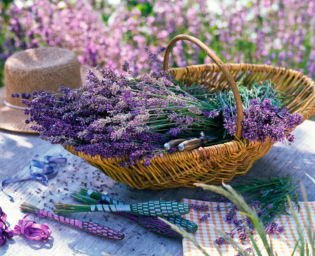 Lavandula (lavender) in basket, lavender bottles