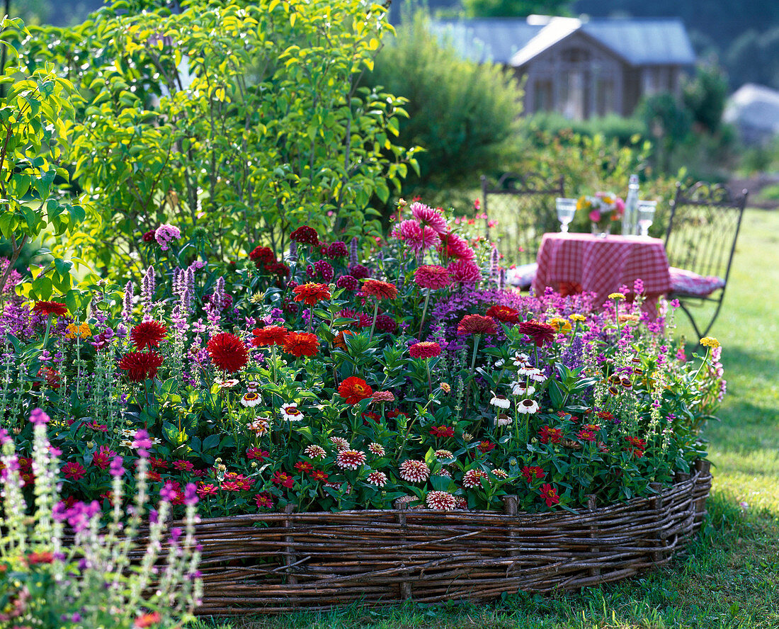 Summer flowers in a circular flowerbed with wickerwork surround
