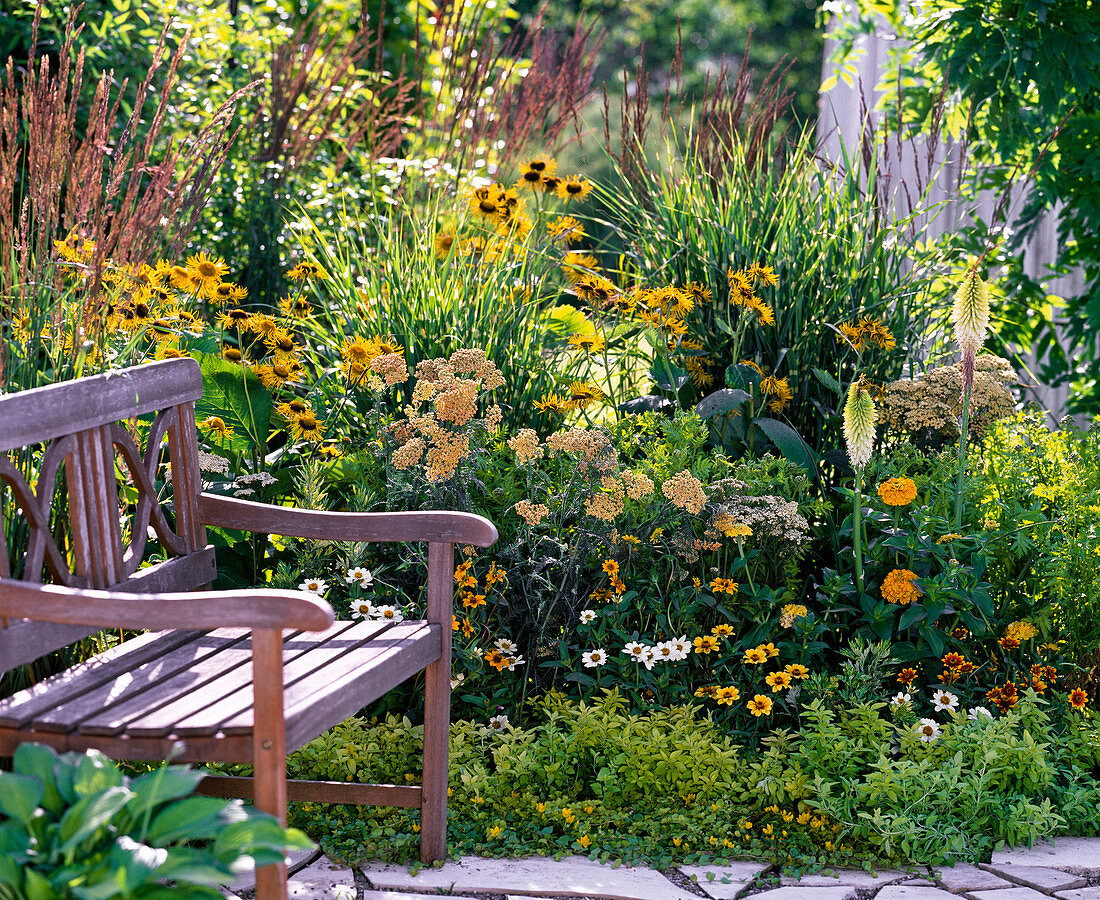 Yellow-white bed with perennials and summer flowers