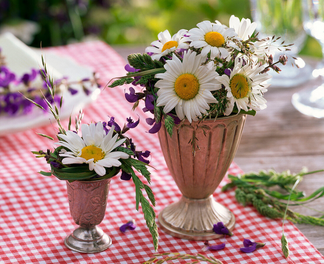 Kleine Sträuße aus Leucanthemum (Frühlings - Margeriten), Salvia (Salbei)