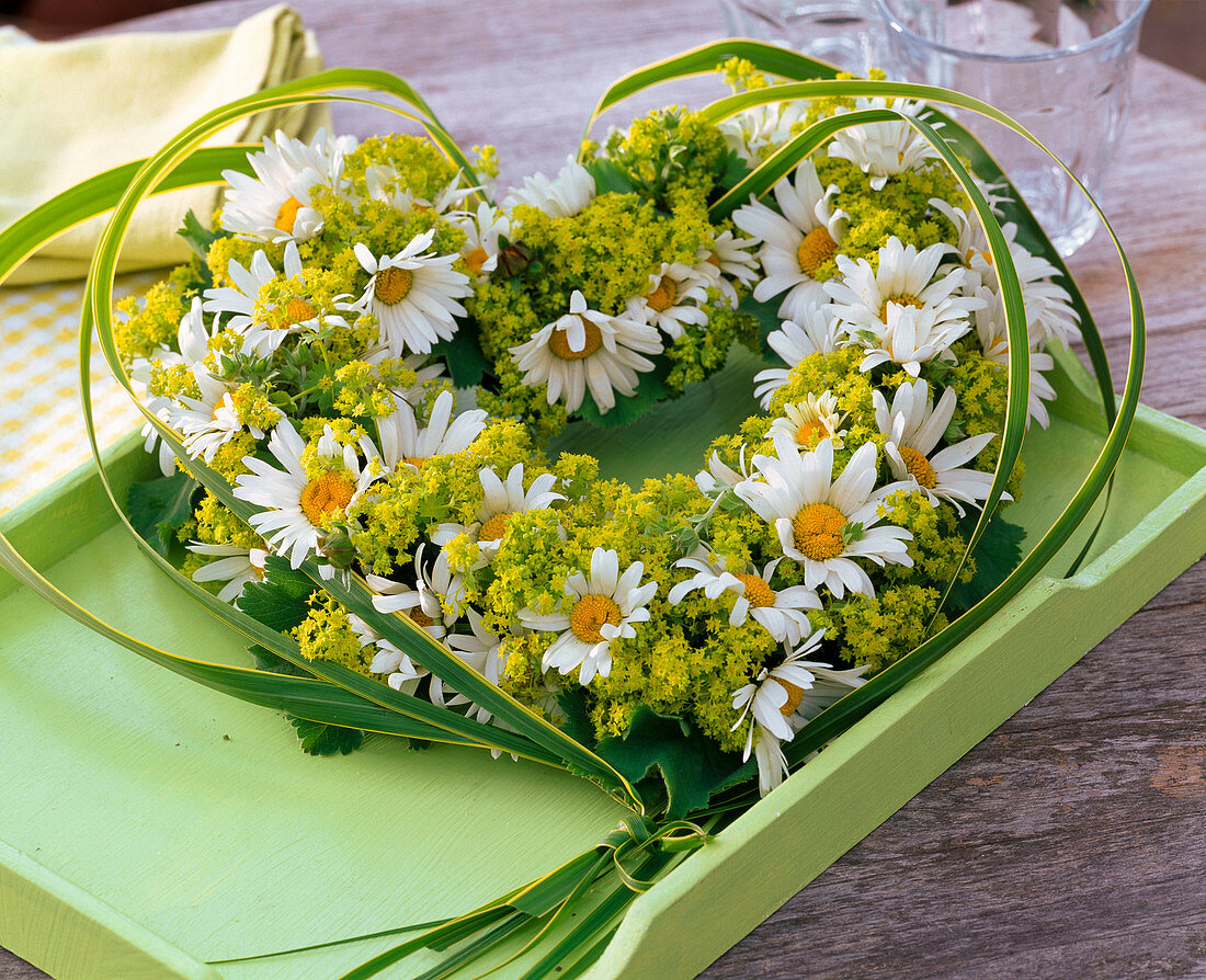 Kranz in Herzform aus Leucanthemum (Frühlings - Margeriten) und Alchemilla