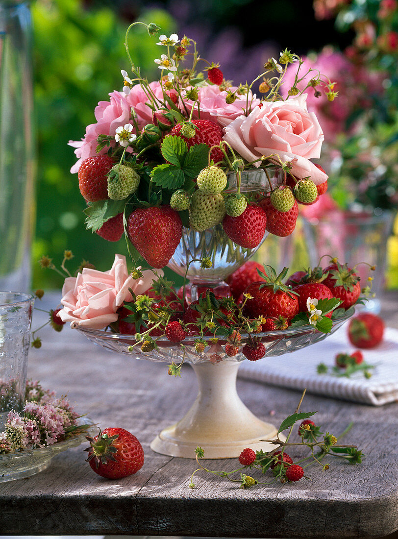 Fragaria (Strawberries, Wild Strawberries) and Rosa (Rose) in Etagere