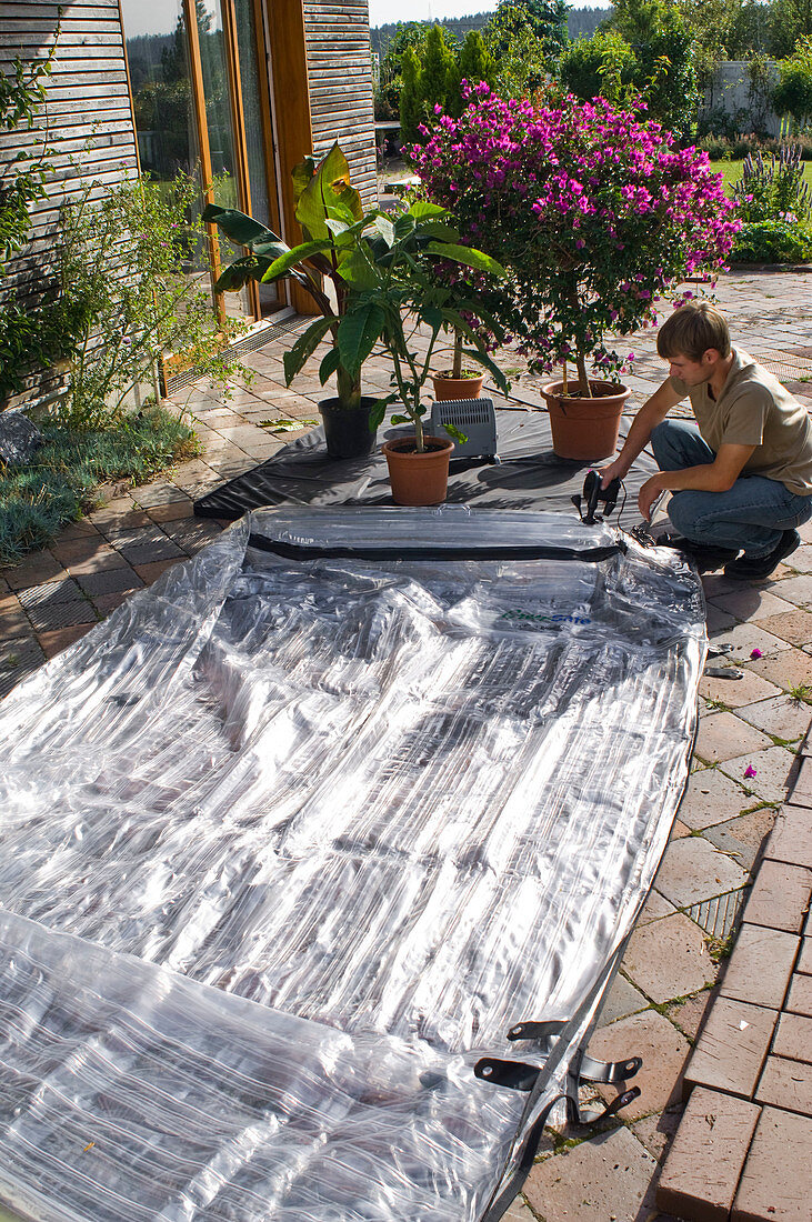 Inflatable greenhouse for wintering of potted plants
