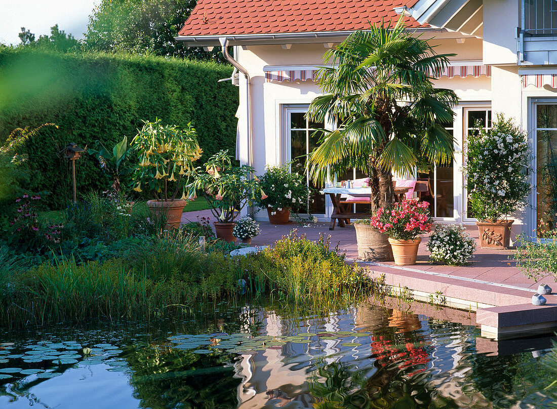 Pond adjoins terrace with potted plants
