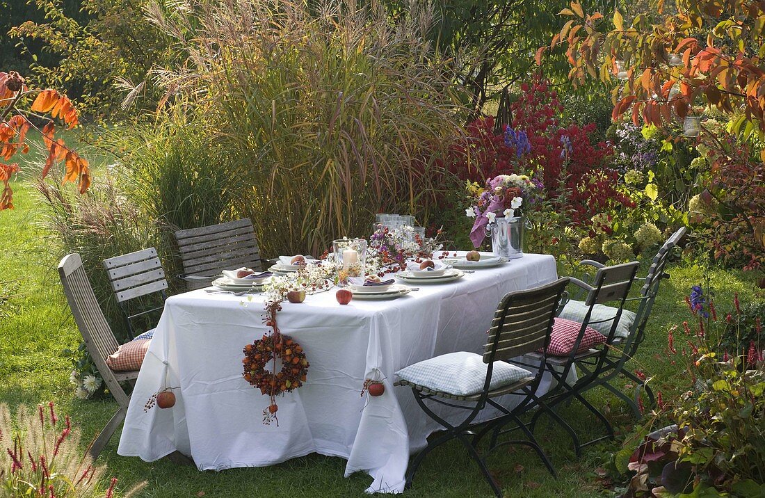 Table laid in front of autumn bed with miscanthus (miscanthus)