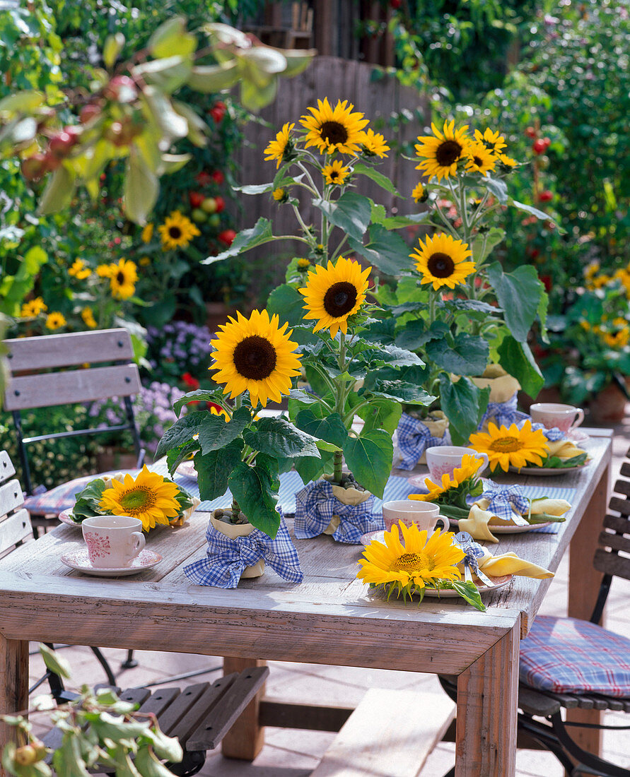 Table decoration with sunflowers