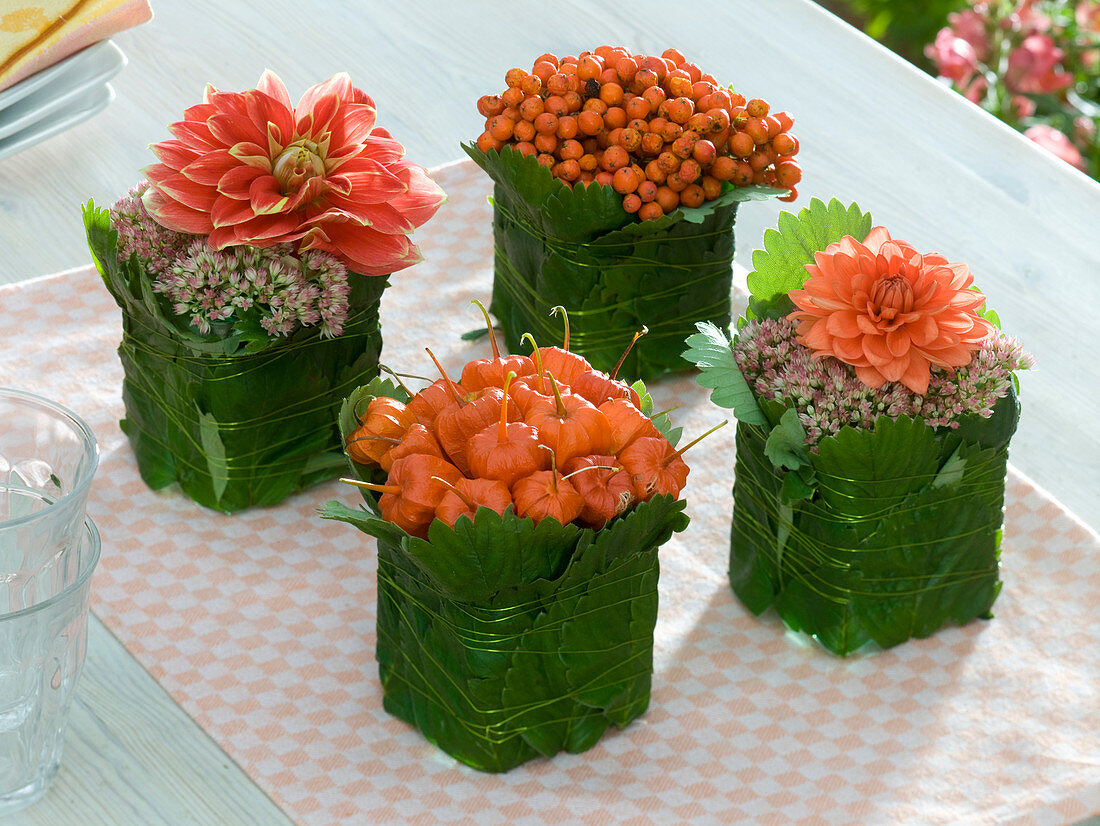 Dahlia (Dahlien), Sedum (Fetthenne), Physalis (Lampions)