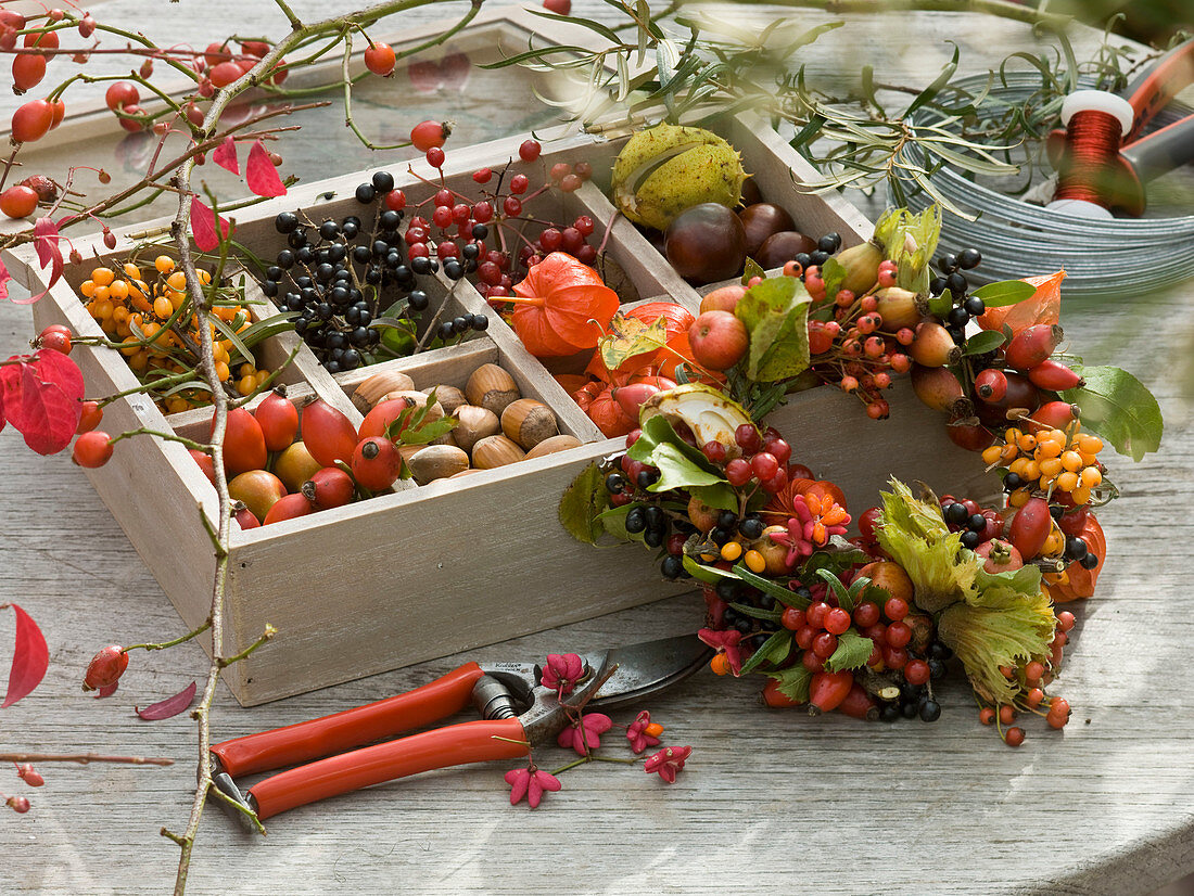 Collected autumn fruits and berries in wooden box