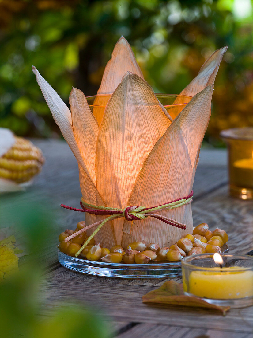 Glas mit Blättern und Körnern von Zea (Maiskolben) als Windlicht