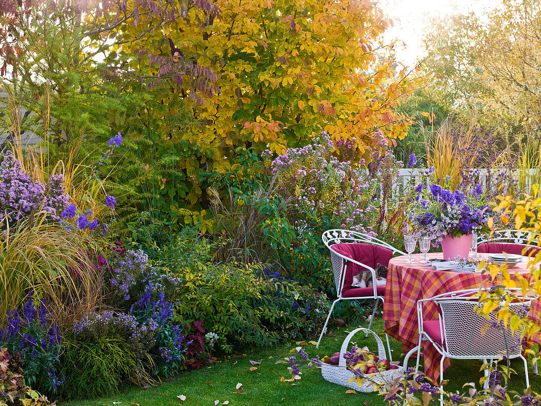 Row house garden with seating and autumn bed