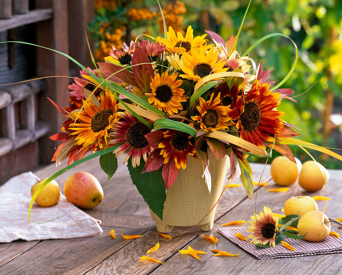 Autumn bouquet with Helianthus 'autumn beauty' (sunflower)