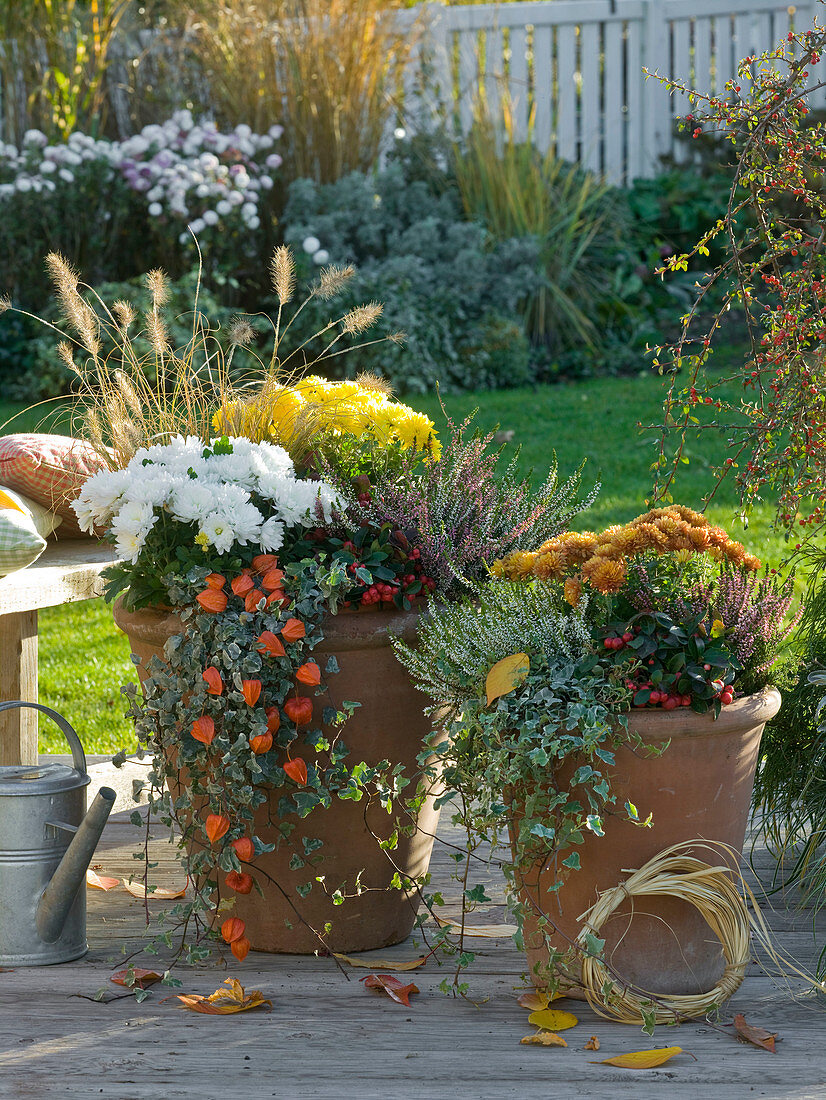 Planting buckets in autumn