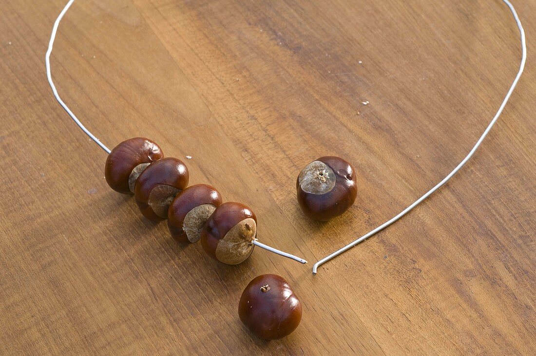 Chestnut heart on wire hanger