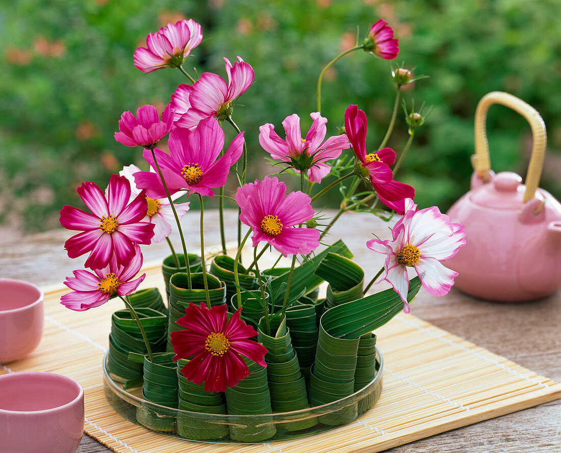 Cosmos (Schmuckkörbchen) in gerollten Gladiolus (Gladiolenblättern)