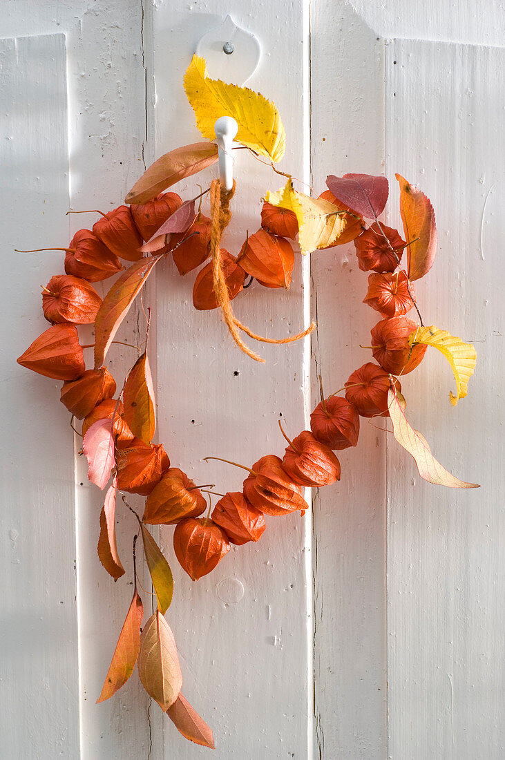 Physalis Heart