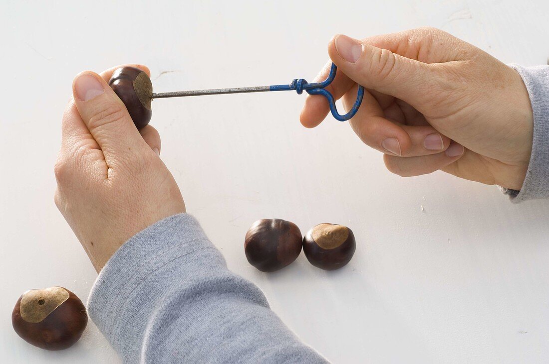 Chestnuts as a key chain