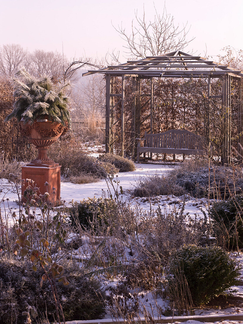 Winter rose garden with wood pavilion