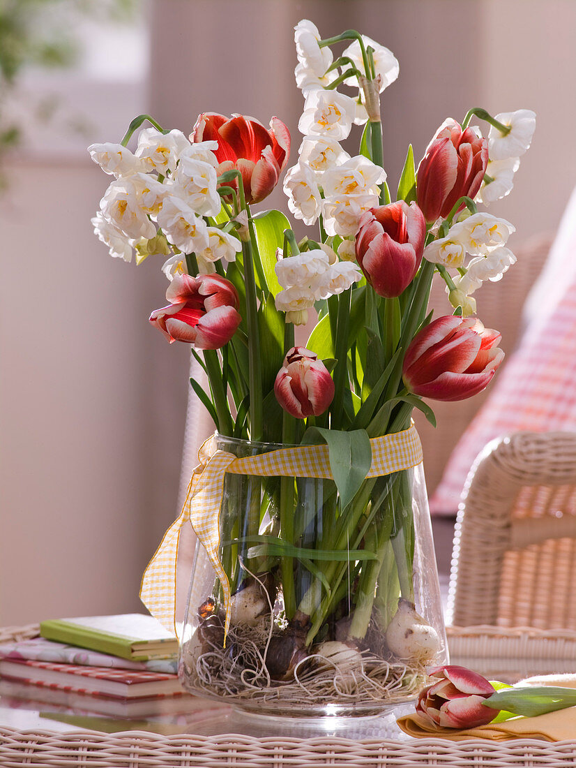 Spring Tulipa (tulip) and Narcissus 'Bridal Crown' bouquet
