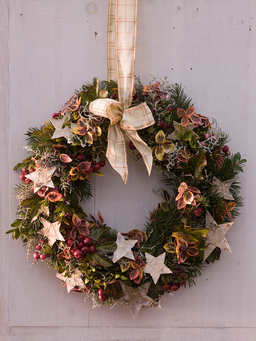 Christmas door wreath with Pseudotsuga (Douglas fir)