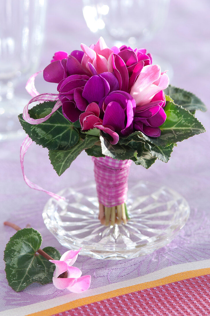 Small bouquet of cyclamen (cyclamen)