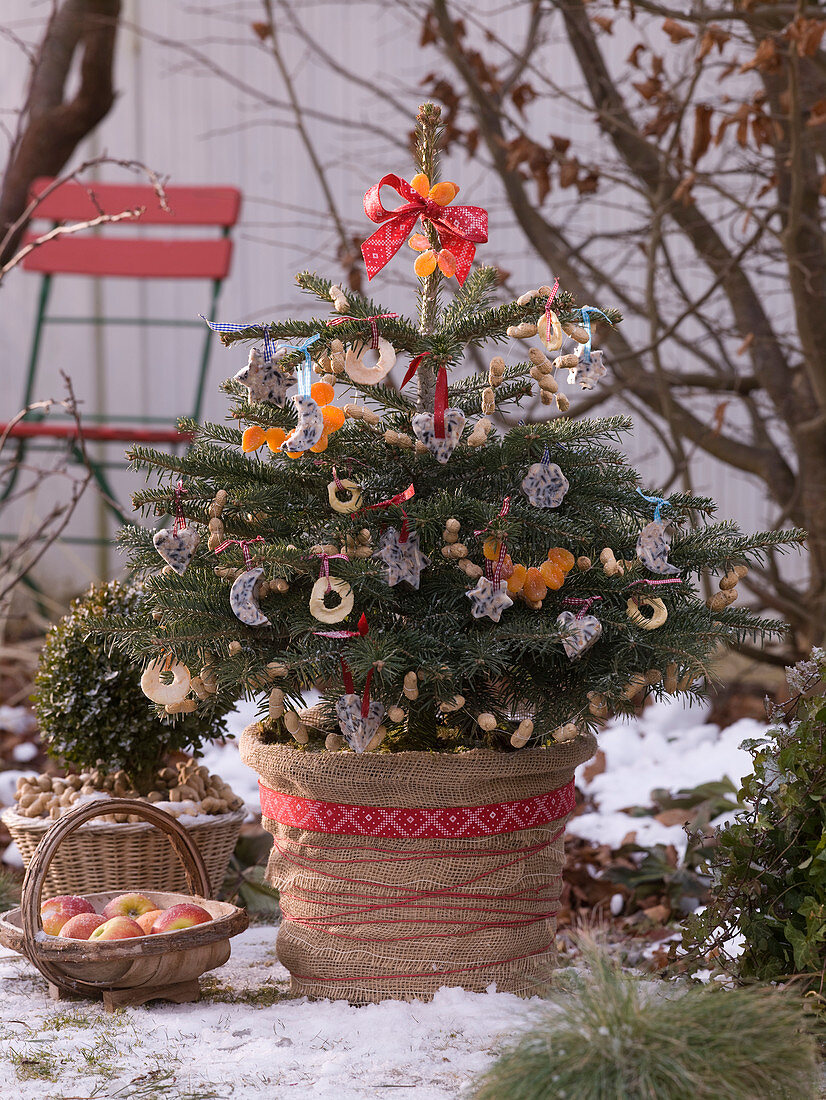 Vogelfutterweihnachtsbaum