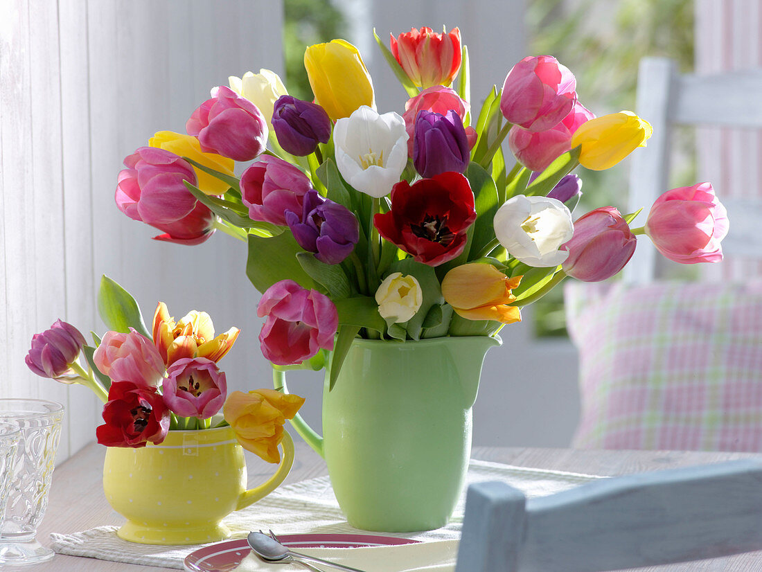 Mixed Tulipa (tulip) bouquets in ceramic jugs