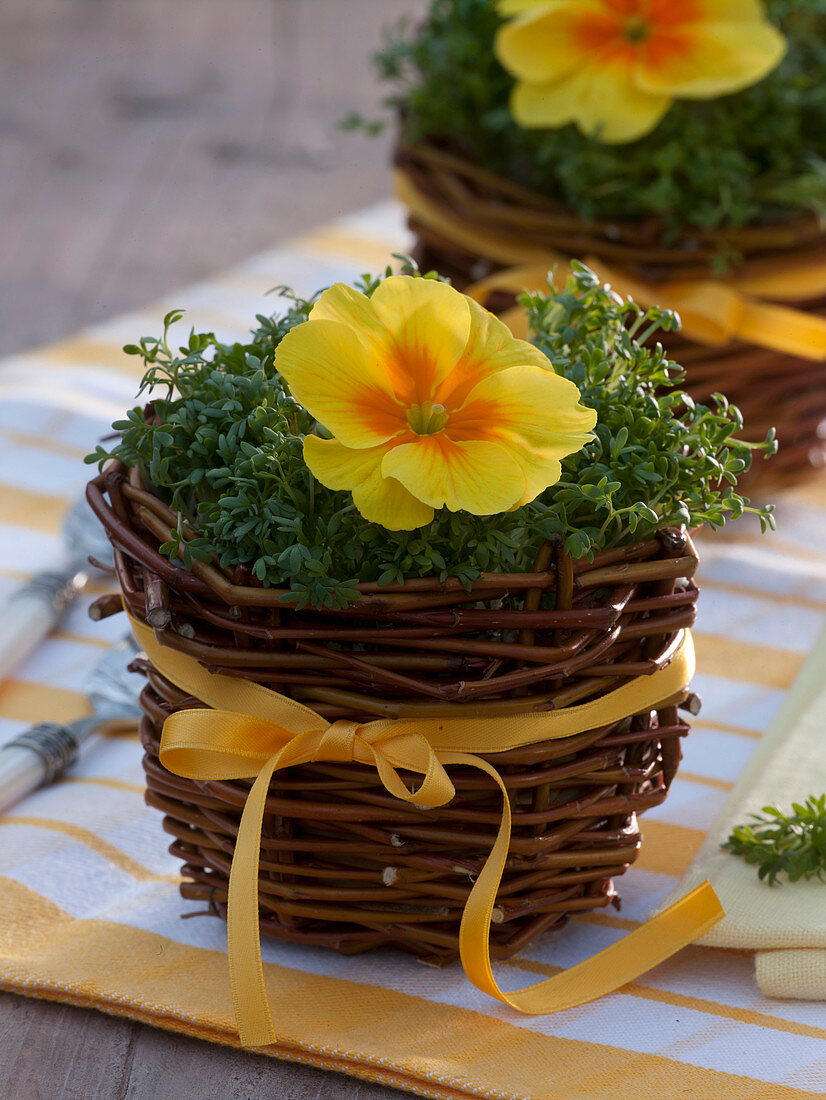 Selbstgemachter Mini-Korb aus Weide mit Lepidium (Kresse)