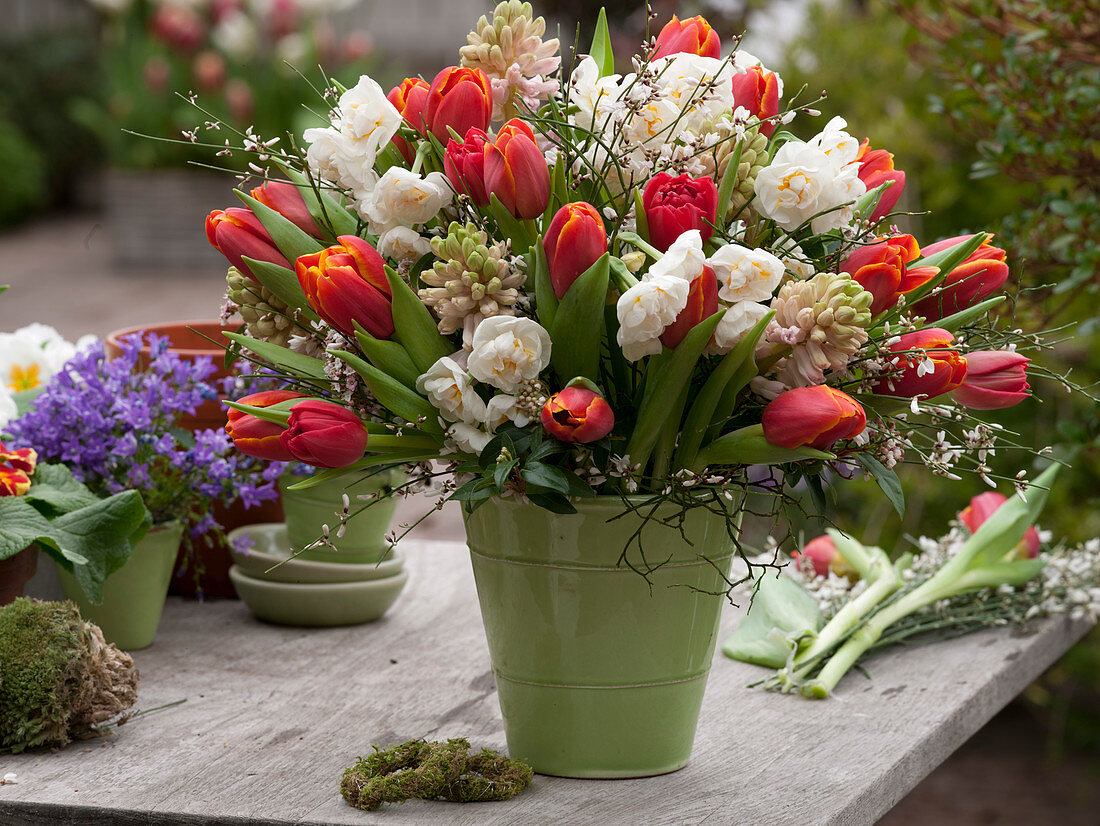 Frühlingsstrauß aus Narcissus 'Bridal Crown' (Narzissen), Tulipa (Tulpen)