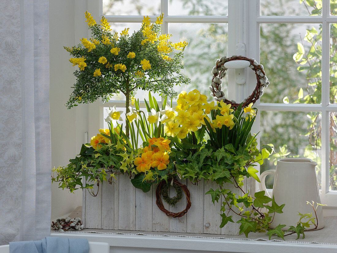 White-yellow spring window