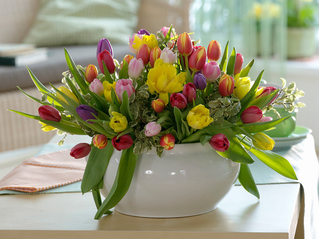 Schale mit Gesteck aus bunt gemischten Tulipa (Tulpen) und Pittosporum